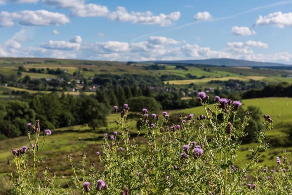 Gilsland Hall Hotel Carlisle (Cumbria) Dış mekan fotoğraf